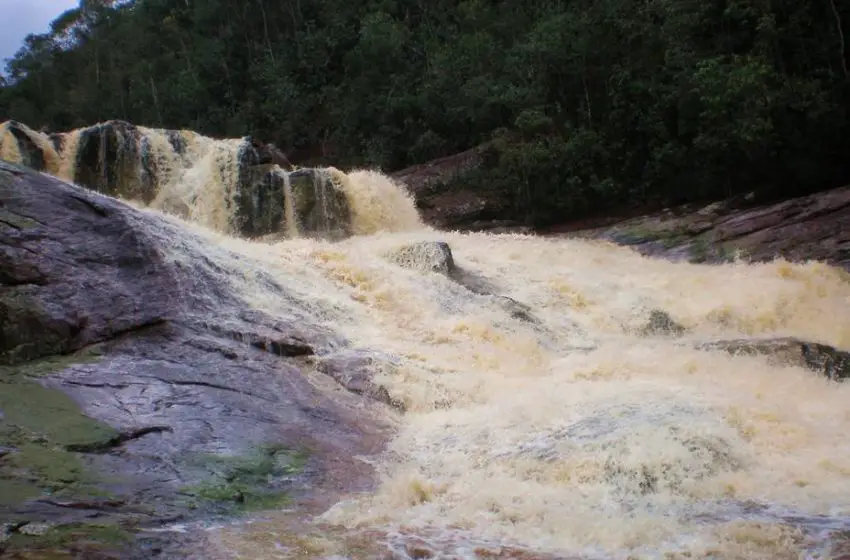 El enigmático Caño Negro del Autana en Amazonas