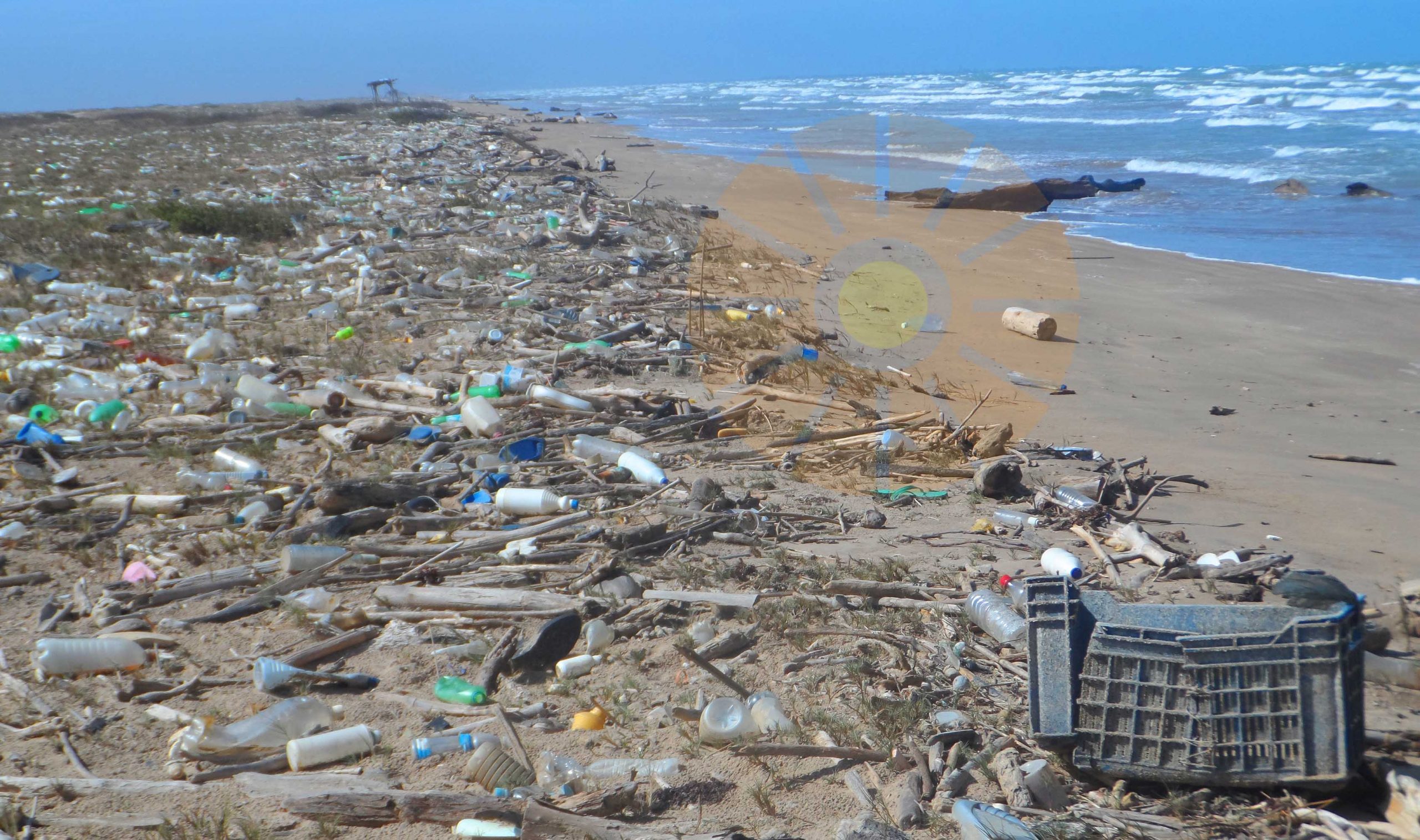  Día Mundial del Ambiente: Llegó la hora de romper con el plástico  y proteger la naturaleza