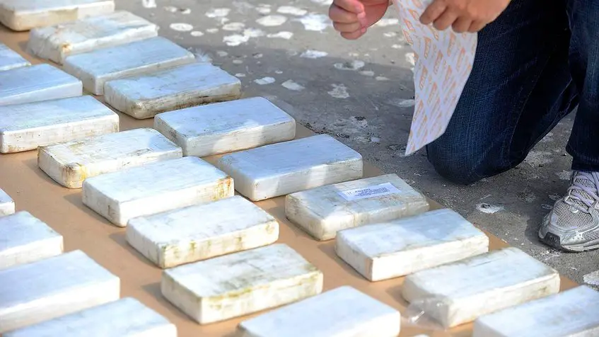  Decomisan más de 220 toneladas de droga en 8 meses en Bolivia