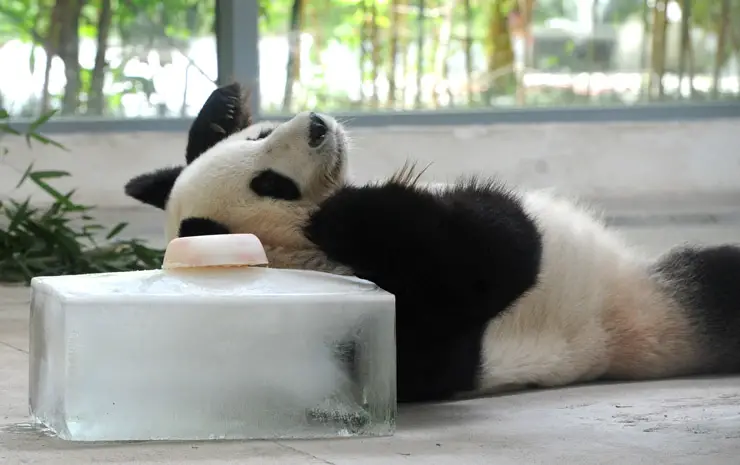 Ola de calor azota a China