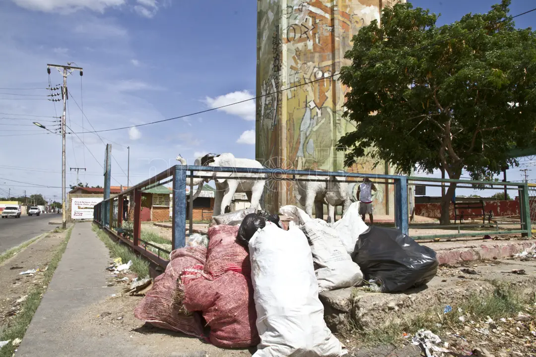  Piden contenedores de basura en Cruz Verde y Velitas