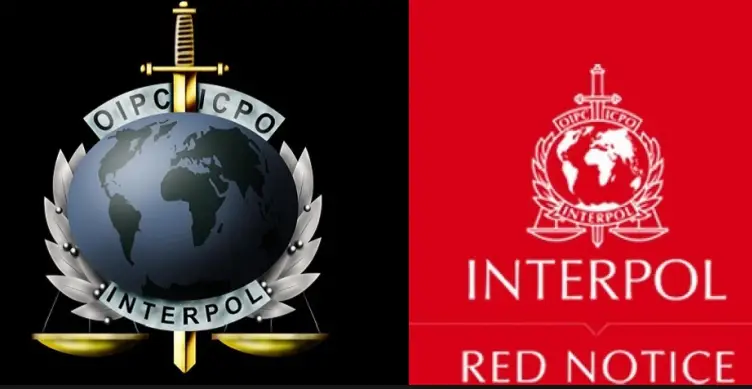 Interpol detiene a esta zuliana en Bogotá por tráfico de cocaína