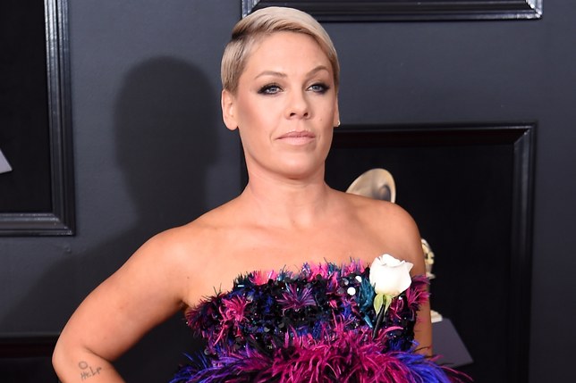 Así se defiende Pink tras cancelar concierto y ser fotografiada en la playa