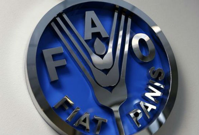  Gobierno nacional y la FAO evaluaron alianzas para venezuela