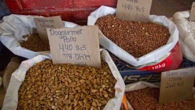Photo of Coro | Alimento de engorde para marranos suplanta la perrarina