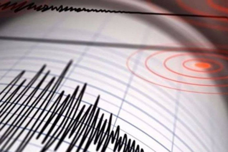  Funvisis registró sismo de 3.5 al noreste de San Cristóbal