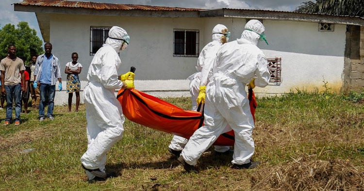 Brote de Ébola