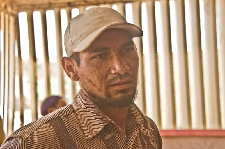 Sobreviviente