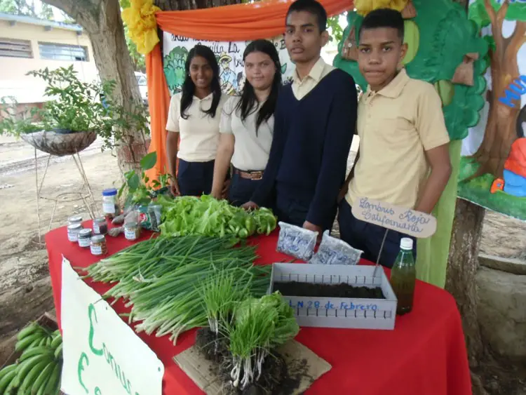 JORNADA SOCIAL