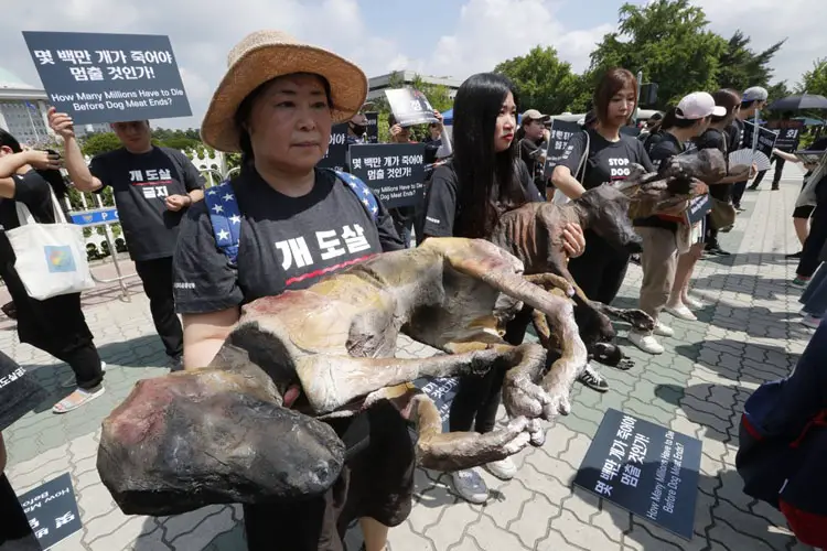 protesta carne de perro