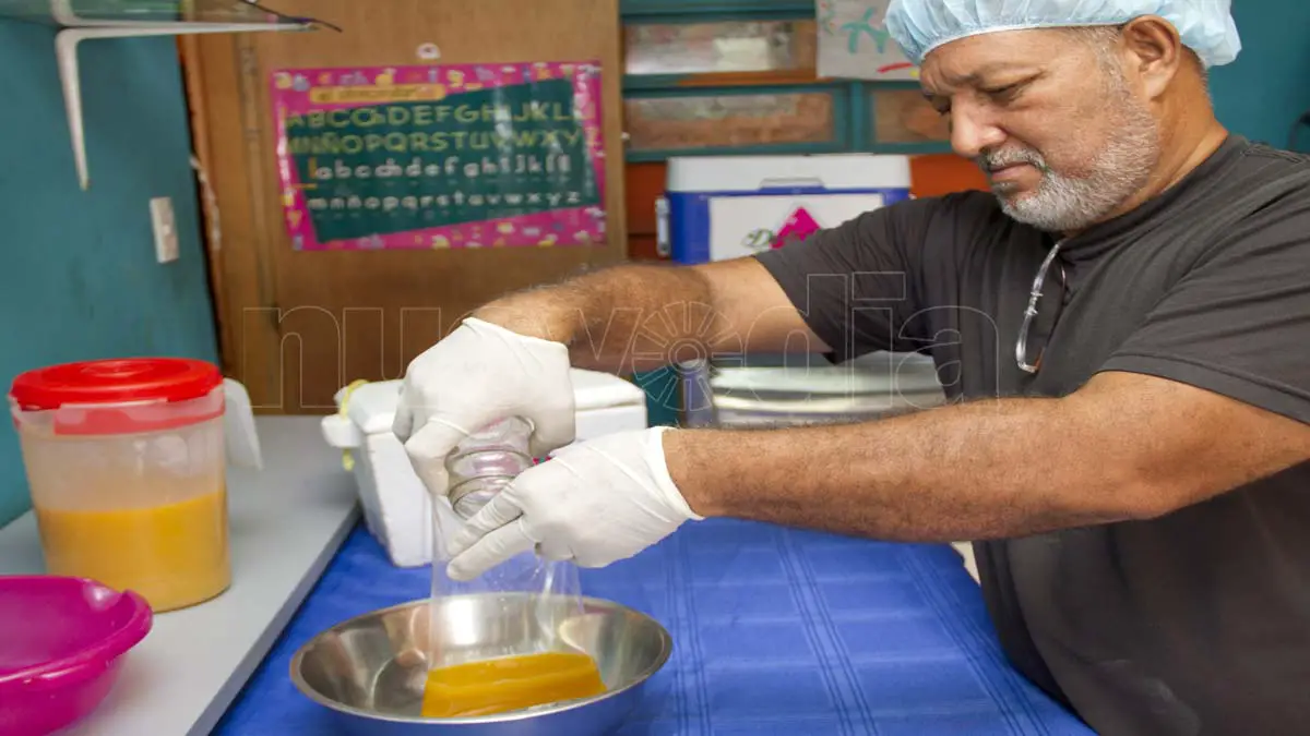 Preparación de DeliBud