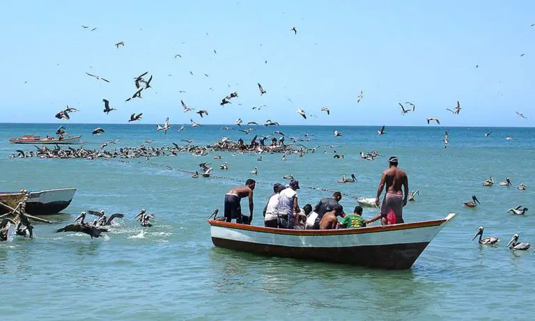 Rescatan peñero que tenía 16 días a la deriva