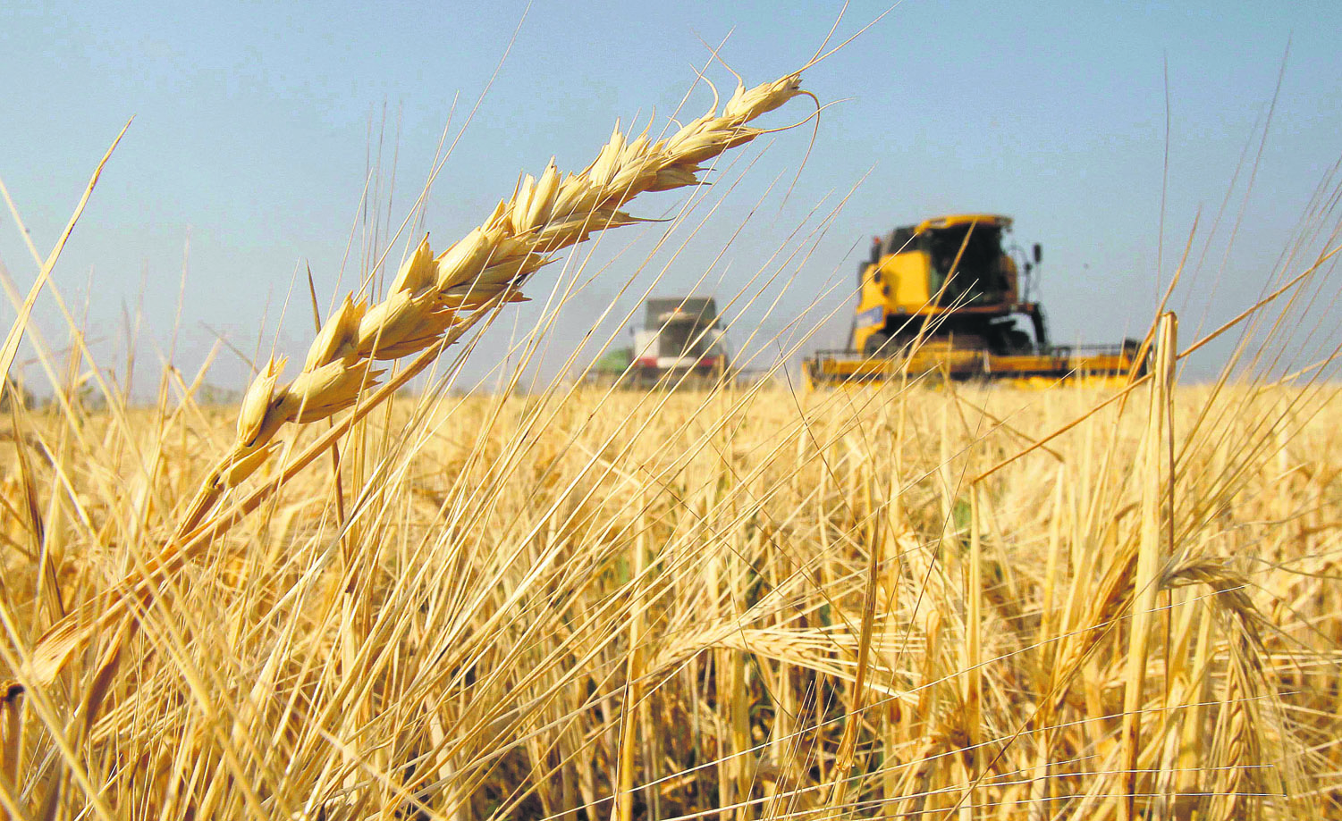 Temen ante posibles «parámetros» de Censo Agrícola Nacional