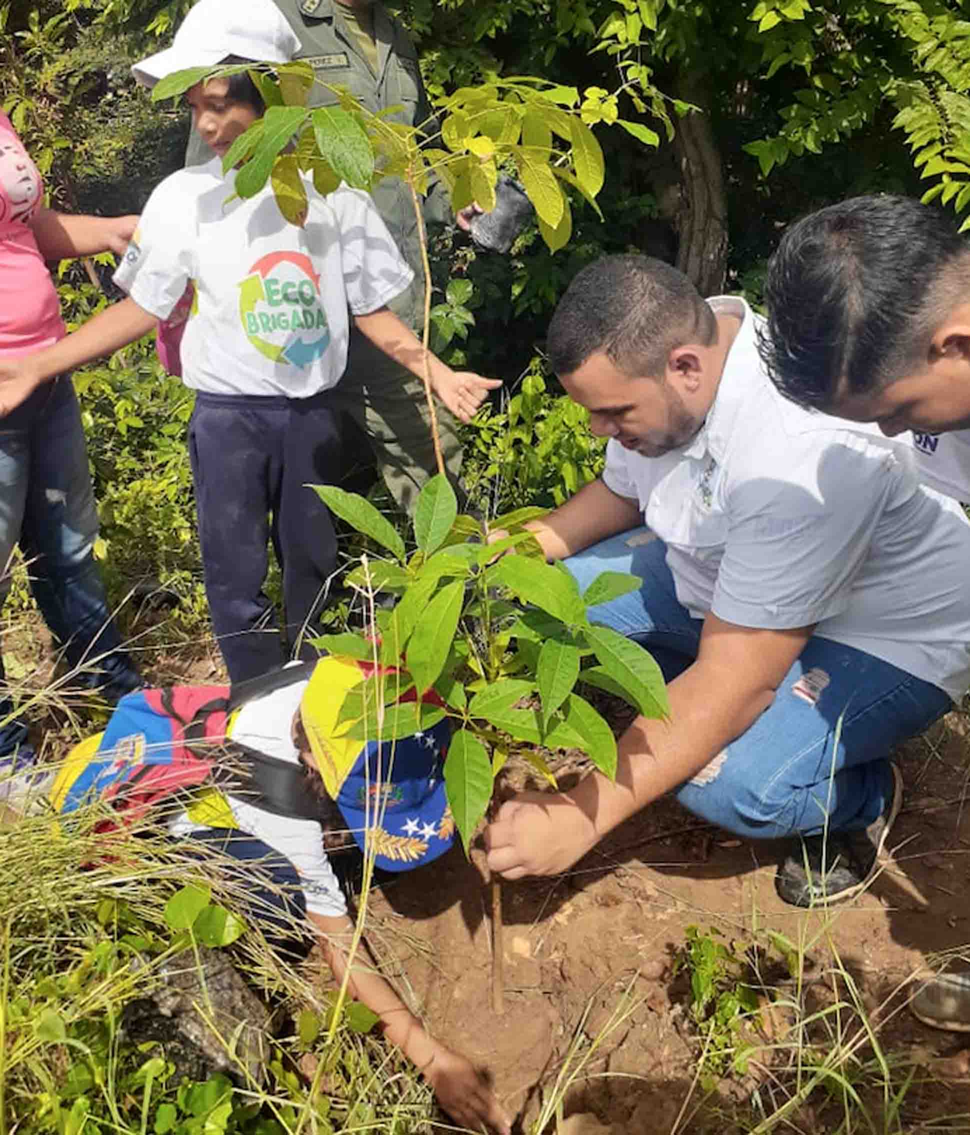 Reforestación
