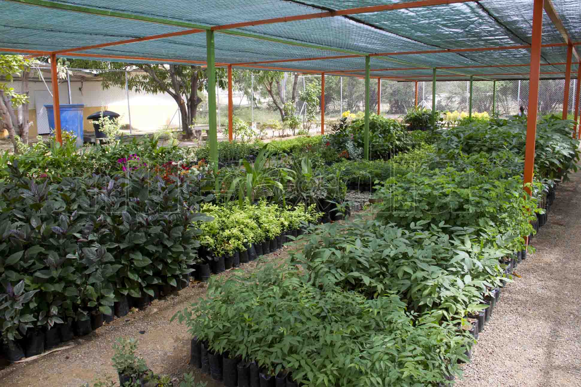 Vivero Chuquisaca