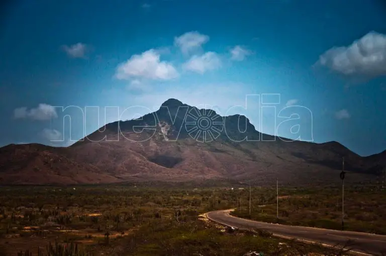 En riesgo la fauna y flora de los monumentos naturales de Paraguaná