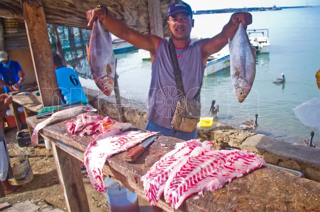  Pescadores de Carirubana compran la gasolina a revendedores
