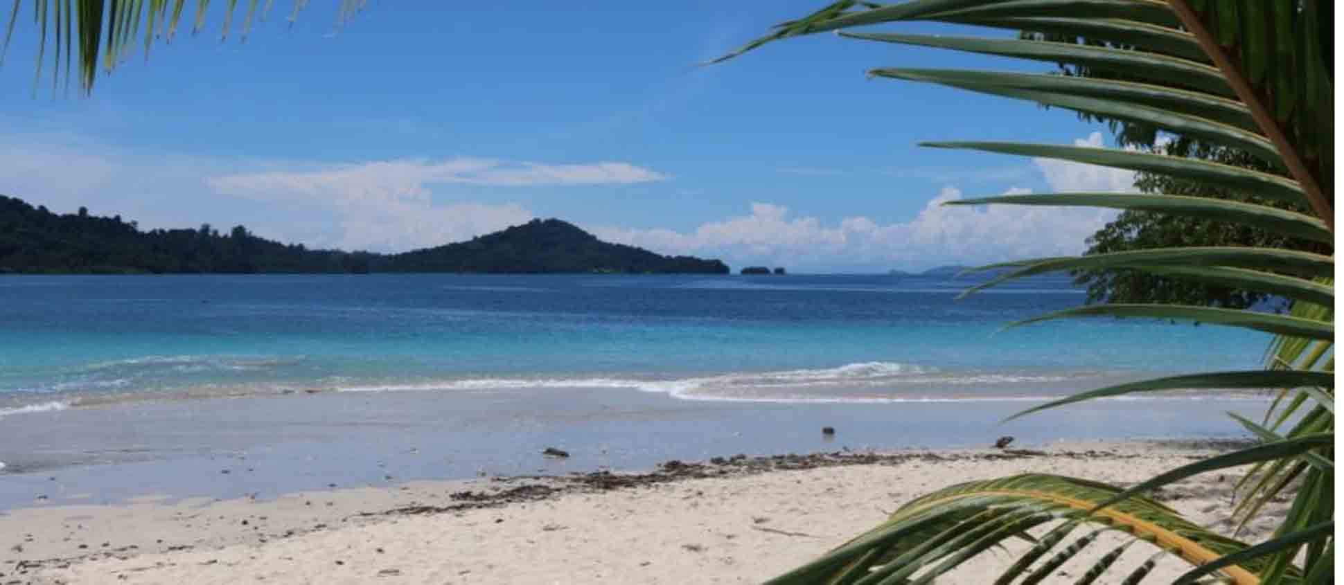 Empresarios fuerzan reapertura de playas en Panamá