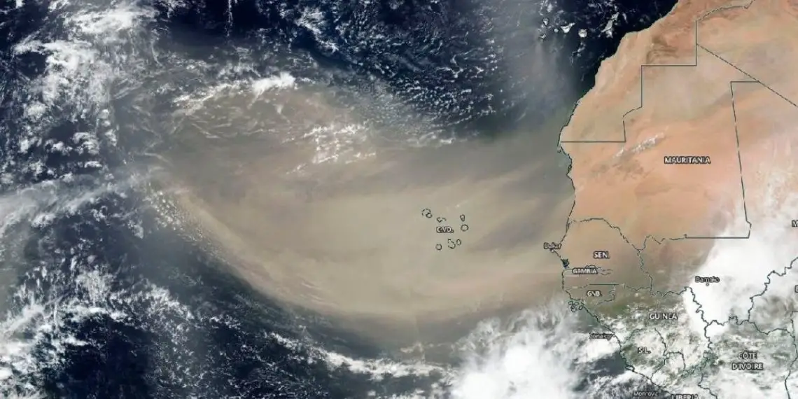  Polvo del Sahara llega a Venezuela: Estás son las recomendaciones