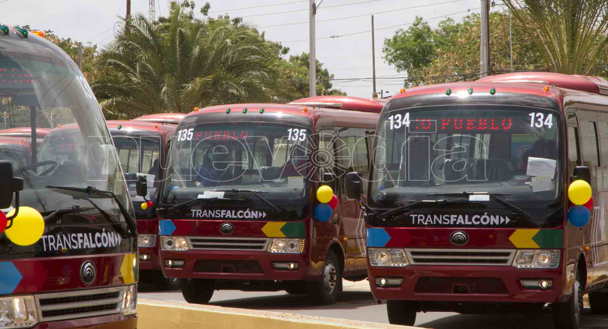 Transfalcón apunta hacia las rutas interurbanas