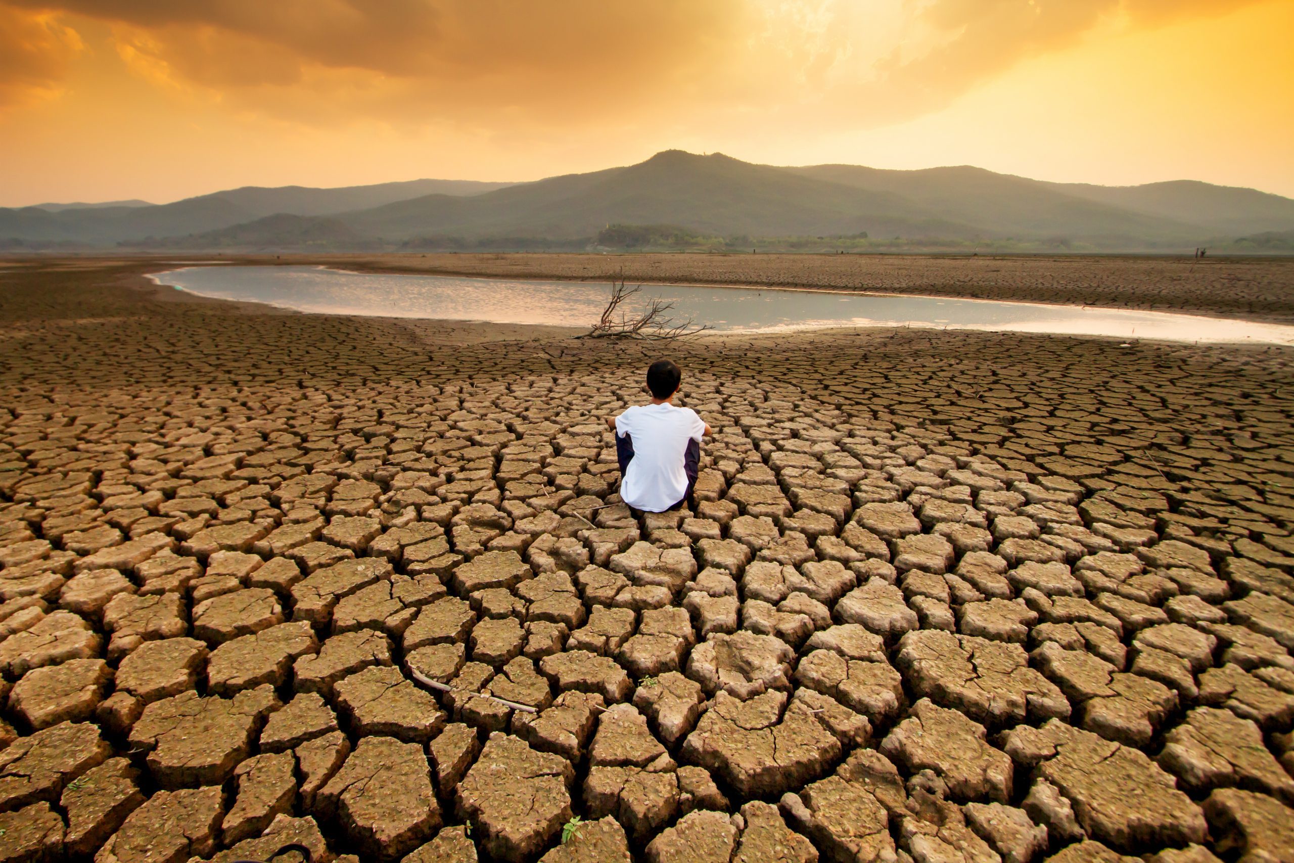  Crisis mundial del agua es un hecho