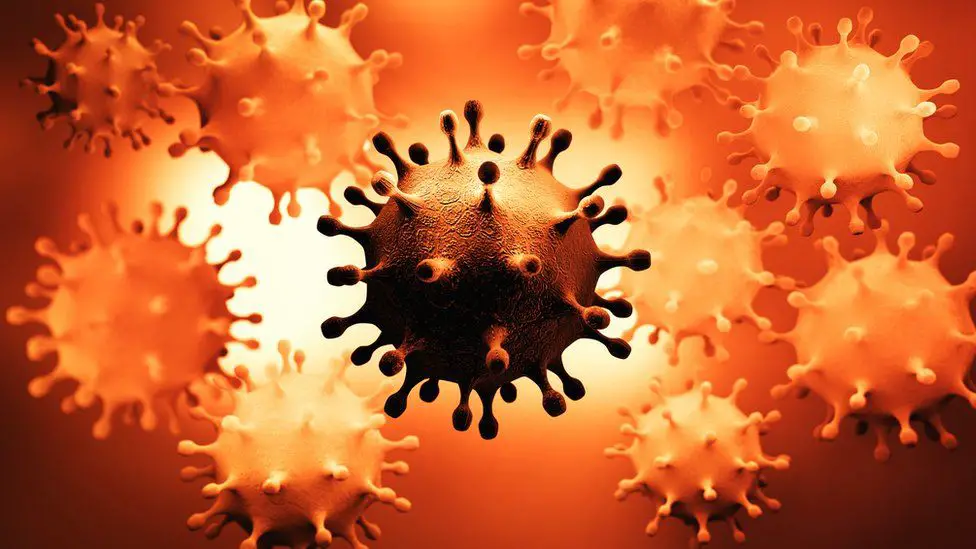 infectologo web 2