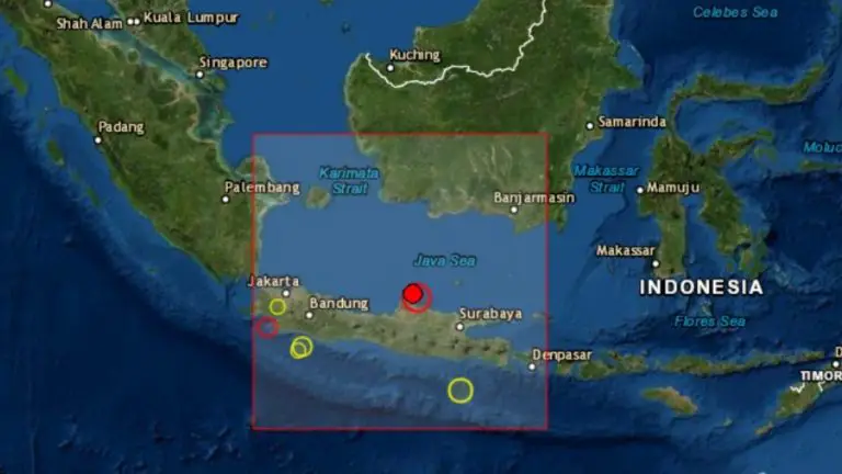 Terremoto de magnitud 7 sacude isla de Indonesia