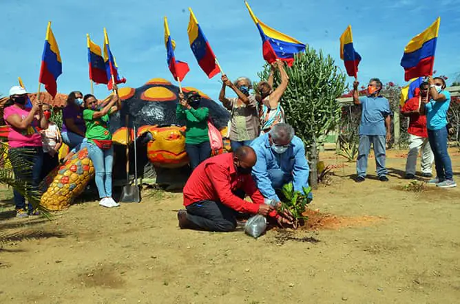 arborización 1