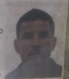 Arrollado