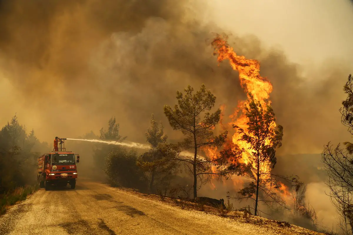  El mundo arde: el mes pasado fue el peor julio en incendios forestales desde al menos 2003