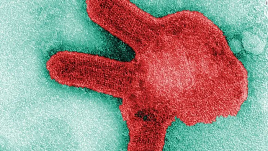 Primer caso en Guinea de virus de marburgo
