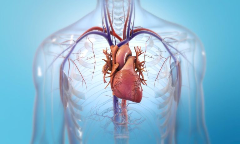 Subtrato en la cardiopatía, principal causa de muerte en Latinoamérica