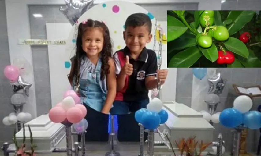 Mueren dos niños venezolanos intoxicados con una fruta en Colombia