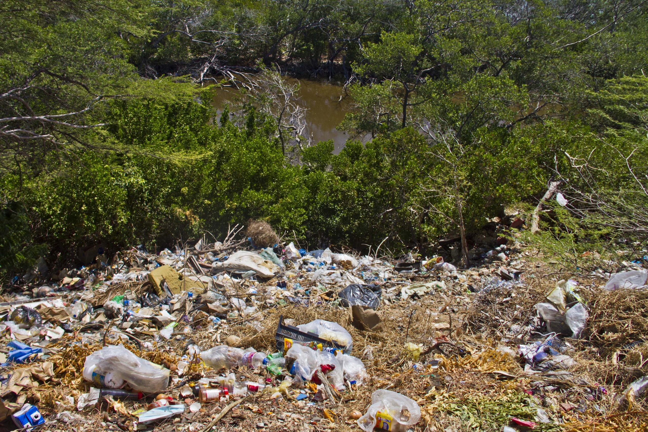  La basura bordea casas en Guaranao