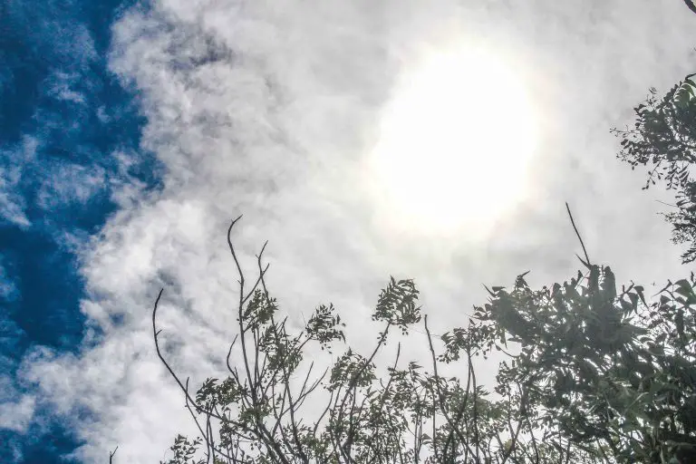 Calor en Falcón: se esperan temperaturas máximas cercanas a los 38°C