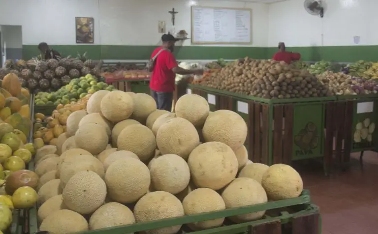 Frutas y hortalizas llegan con retraso por lluvias en estados andinos