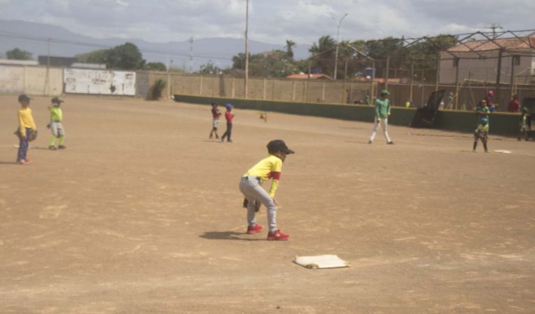 Aracelis León: el béisbol federado se activa en los estadios