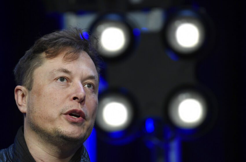 Elon Musk suspende “temporalmente» la compra de Twitter