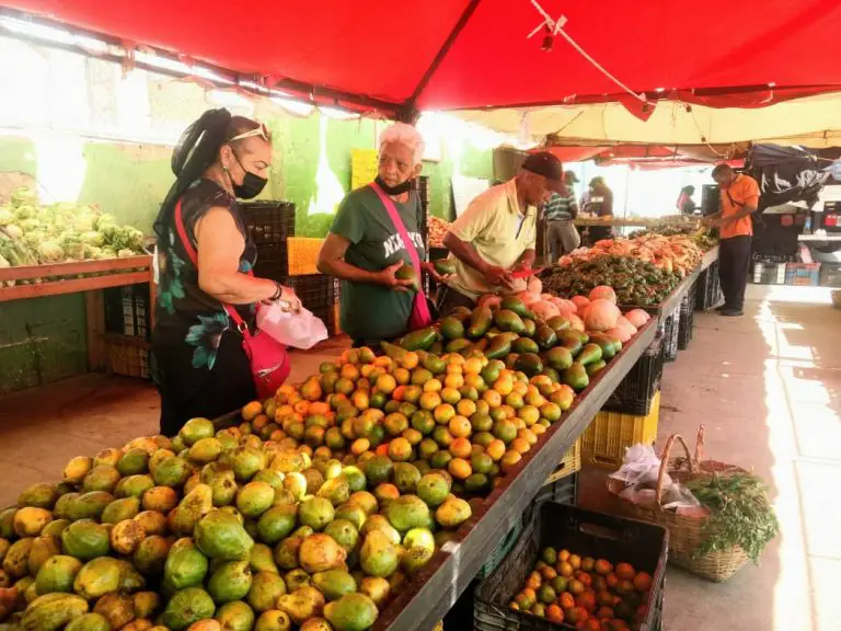 Lluvias y gasolina inciden en precio de frutas, verduras y hortalizas