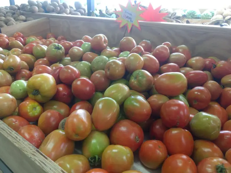 Llegaron frutas, verduras y hortalizas, pero algunas “caras”