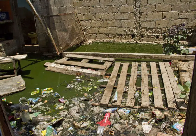 Entre aguas negras viven en el callejón 23 de Enero en Punto Fijo