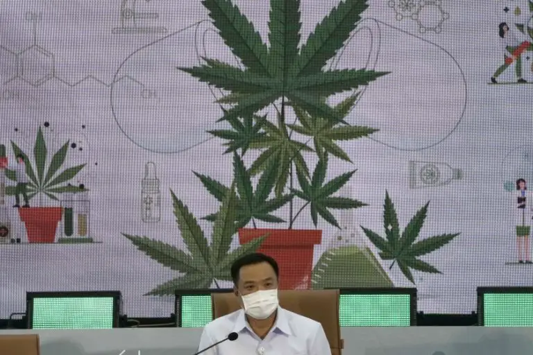 Tailandia distribuirá plantas de marihuana gratis
