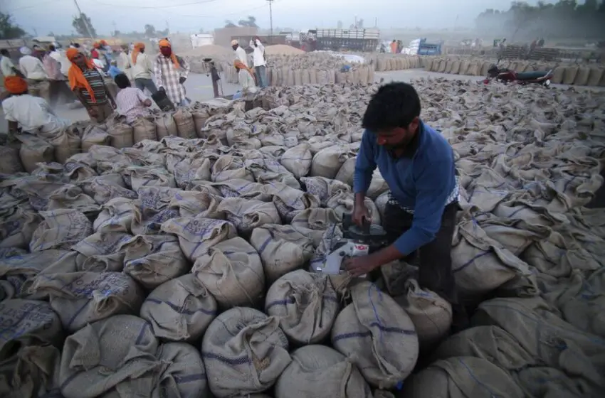  India prohíbe la exportación de trigo por su seguridad alimentaria