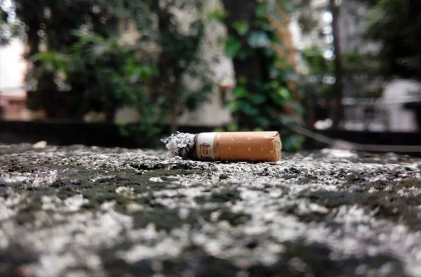  Campaña de la OMS: «El tabaco envenena nuestro planeta»