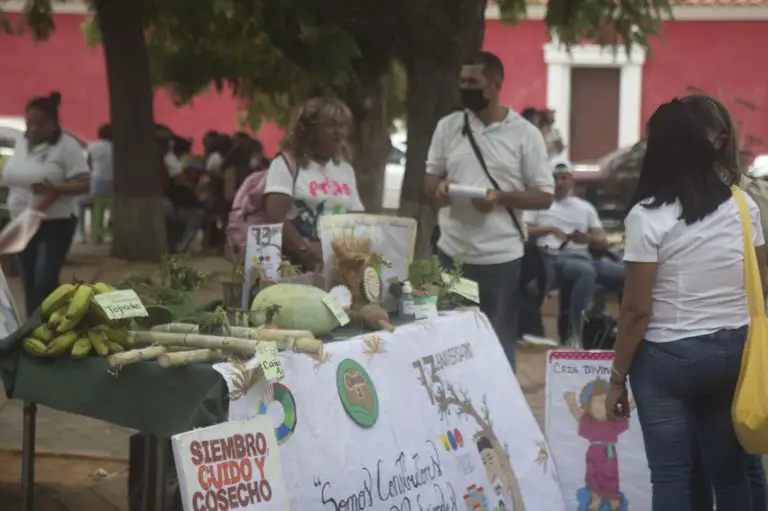 Muestran los logros de Manos a la Siembra