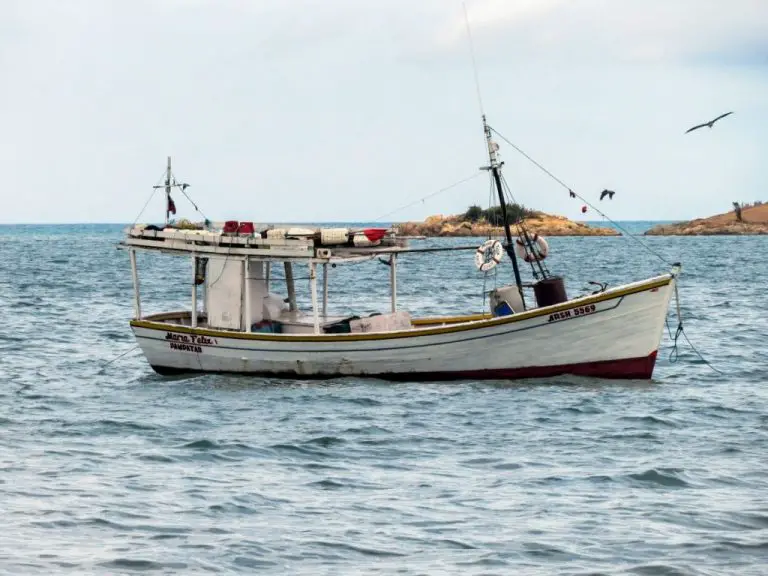 Embarcación “Zorro Viejo” es buscada por aire y mar