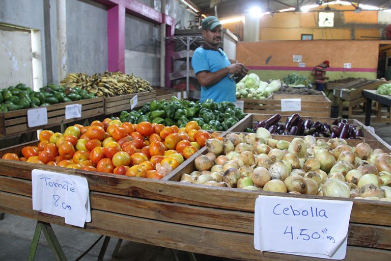 Aumento del gasoil dispara los costos de las verduras y hortalizas (+precios)