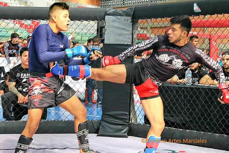 Las artes marciales mixta toman Punto Fijo