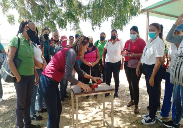 Colectivos educativos se forman en agroecología