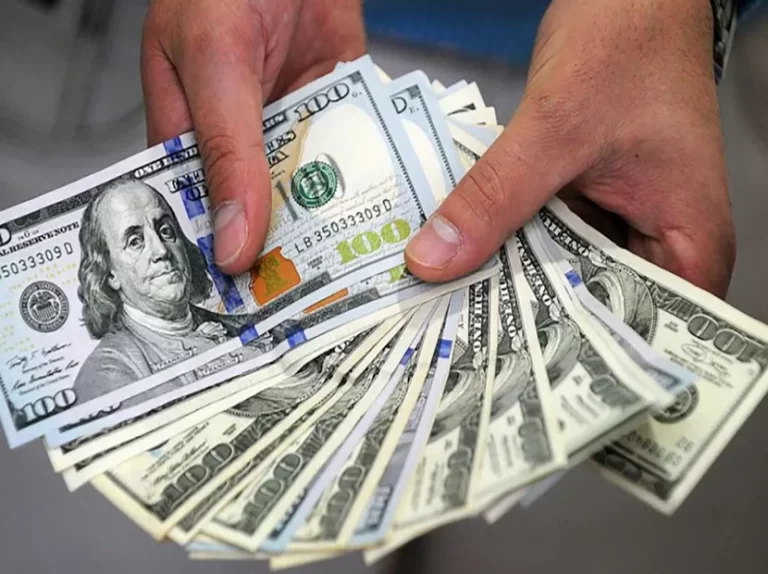 Argentina aplica nuevo "dólar soja"